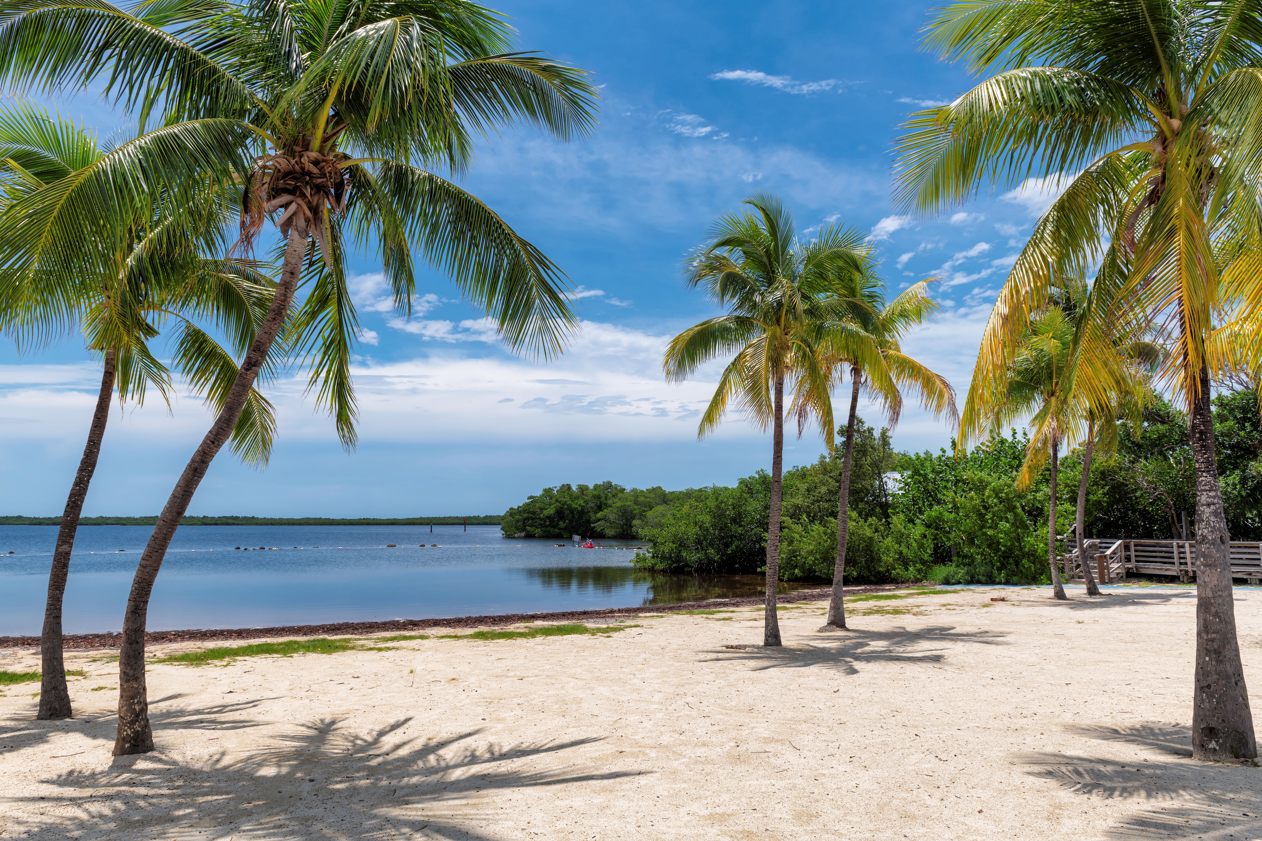 Palm trees on a quiet Key Largo beach in the Florida Keys, with bright-blue skies above 